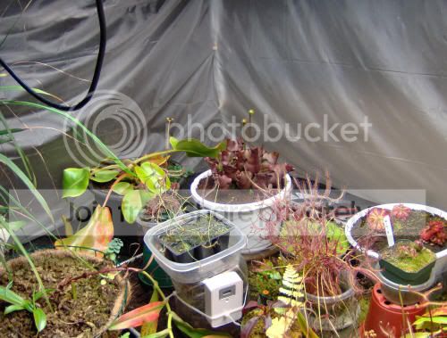 growchamber02.jpg
