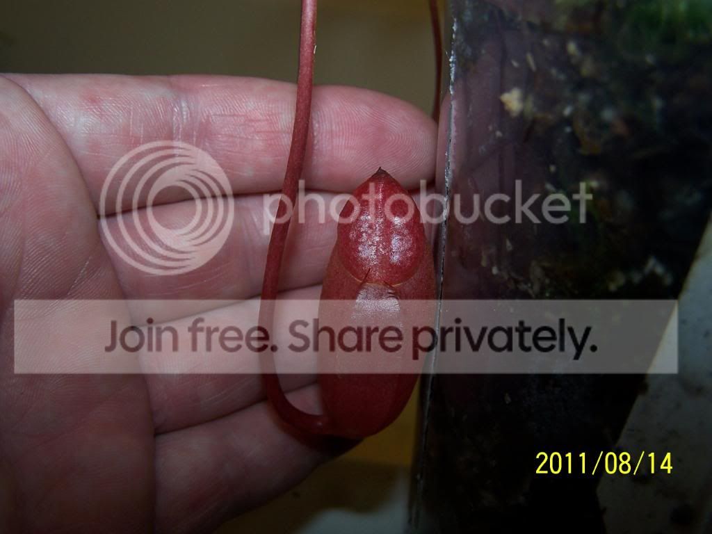 100_5045.jpg