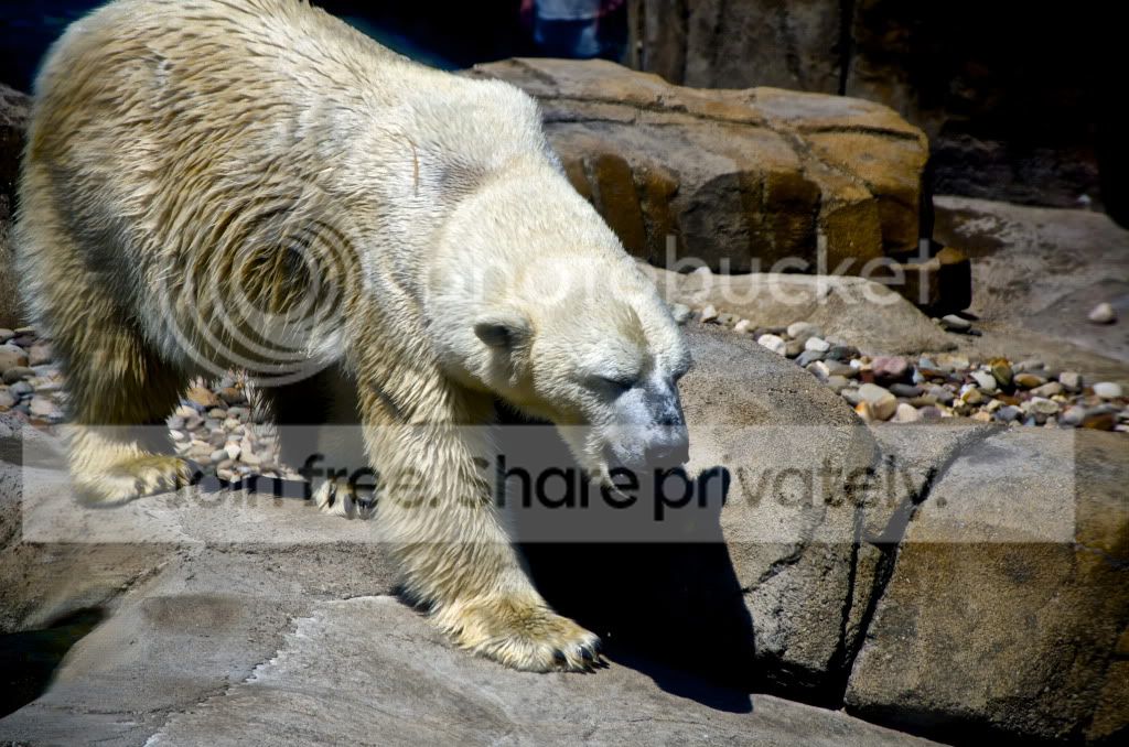 DSC_0661.jpg