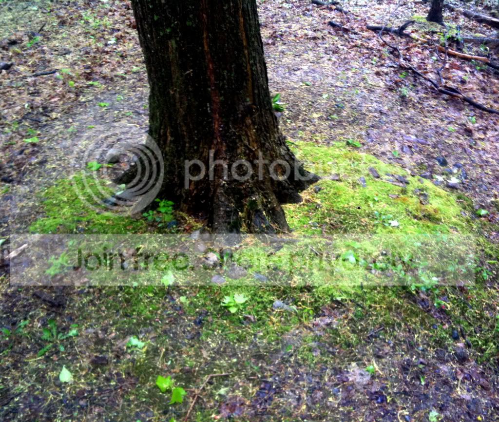 IMG_1447.jpg