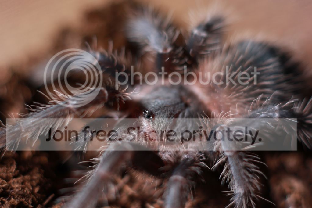 df94d38b13226284ab9362c92ac3eb47.jpg