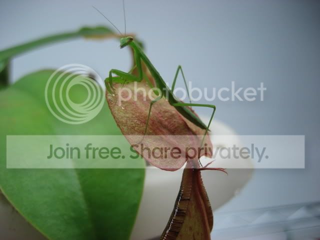 IMG_1135.jpg