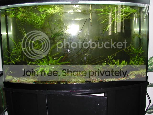 DSCN5667.jpg