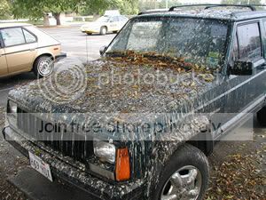 Bird-Poop-Art-Car3.jpg