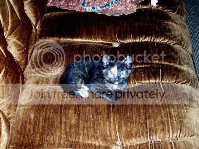 100_4568.jpg