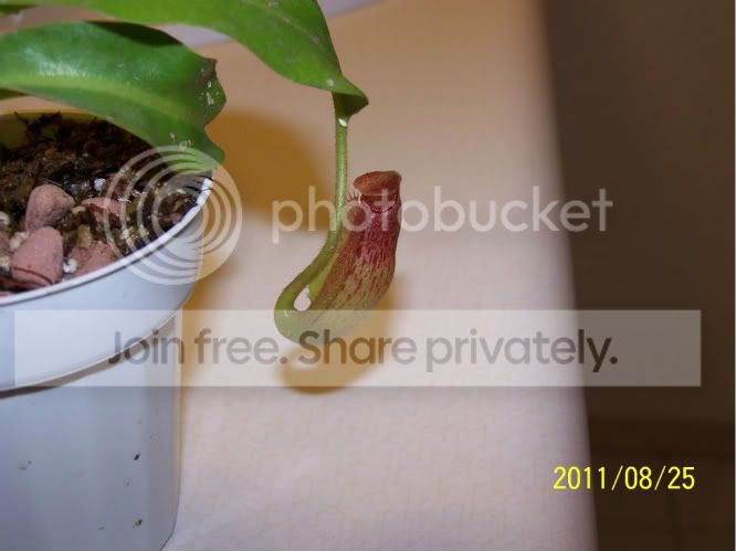 100_5128.jpg