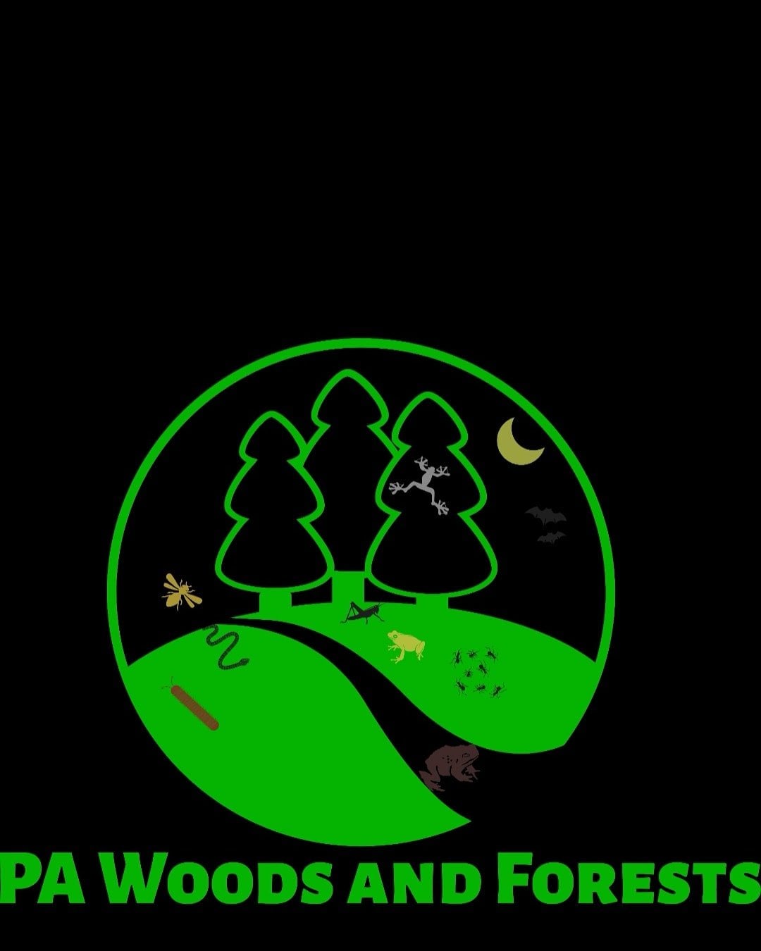 e42e1d34cc9cf71e456ee9d6fa8d8664.jpg
