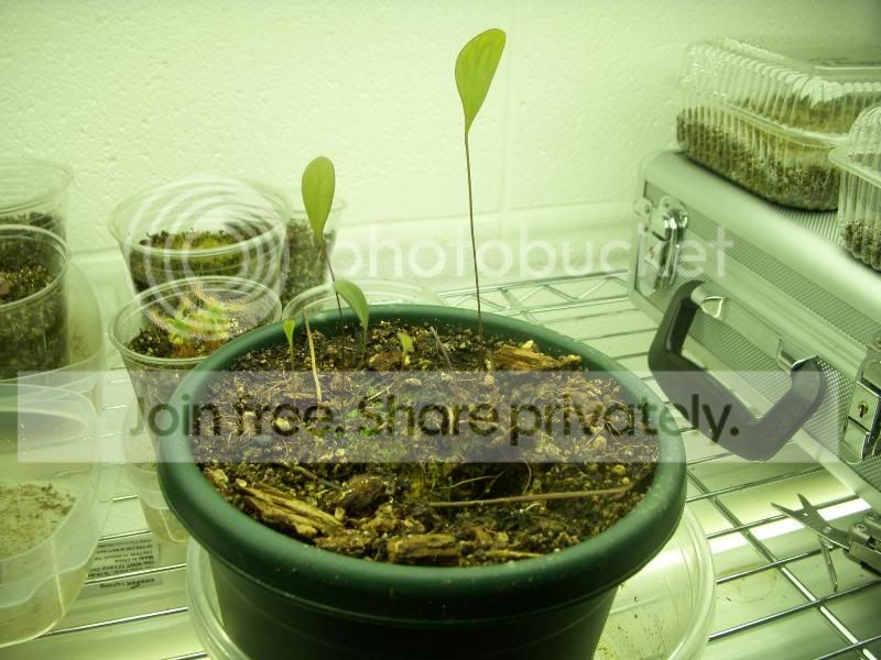 DSCN2908.jpg