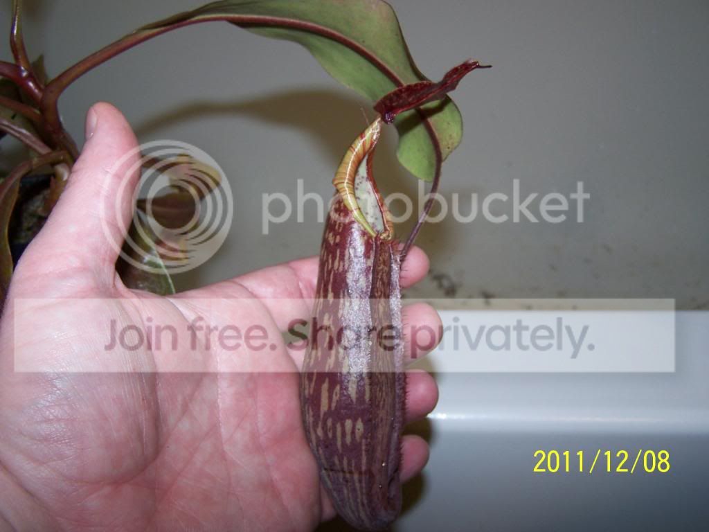 100_5597.jpg