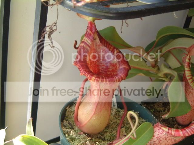 newpics068.jpg