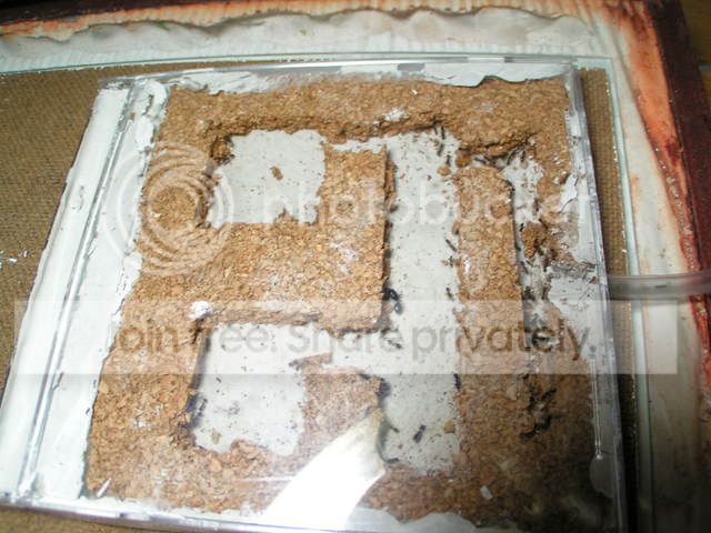 PICT0101.jpg