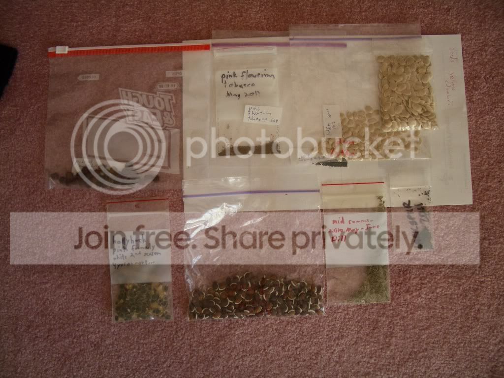 seedstotrade.jpg