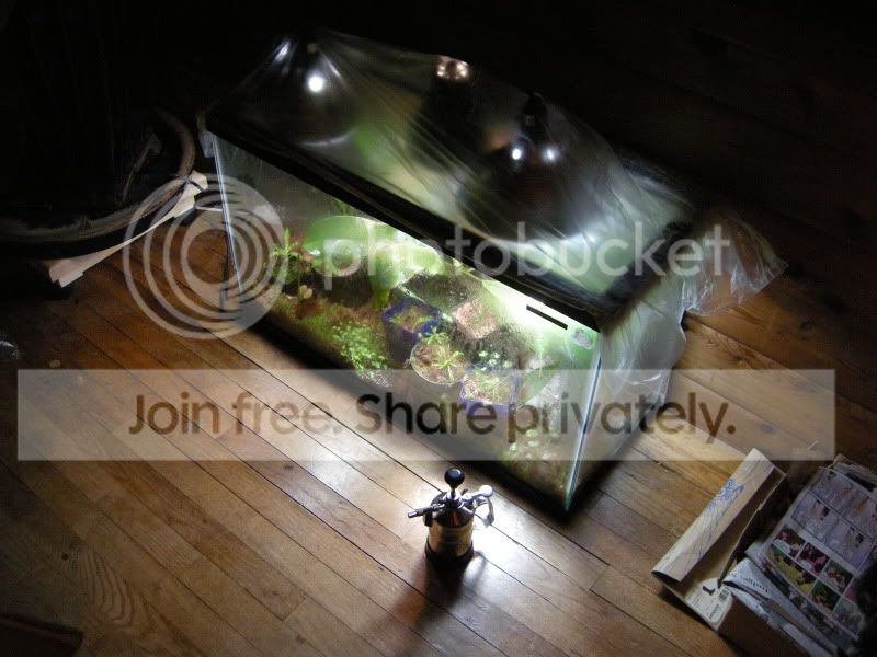 DSCN5740.jpg