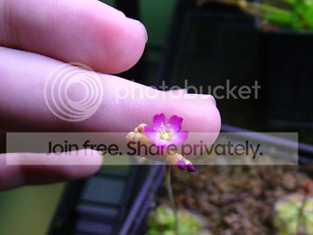 PIC_0016.jpg
