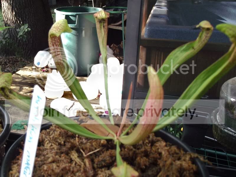DSCF5713.jpg