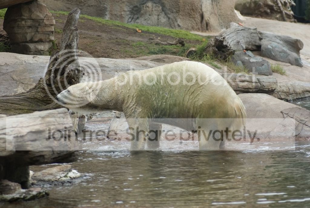 IMGP3489_zps5seemdvv.jpg