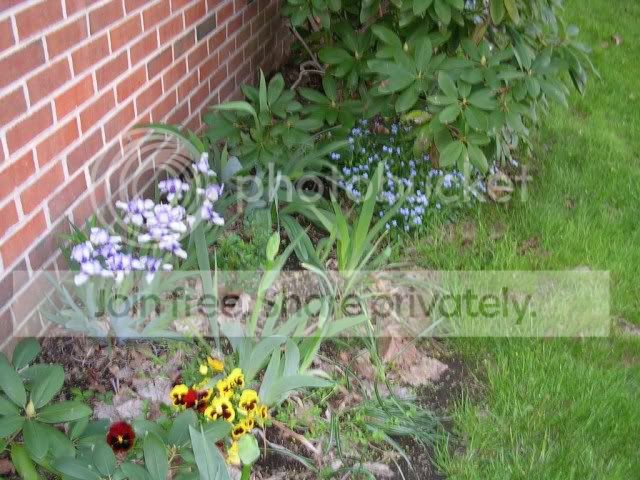 s_Wed_108.jpg