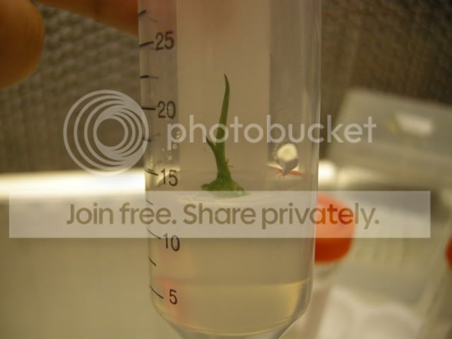 DSCN7561.jpg
