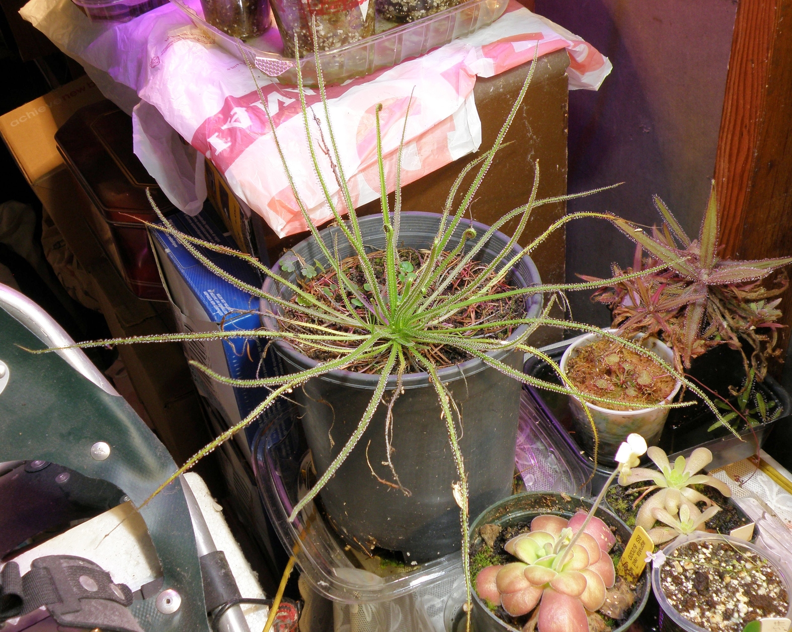 PB270354.jpg