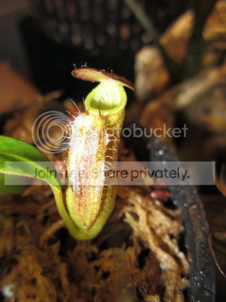 IMG_1443_zps9cfa08b5.jpg