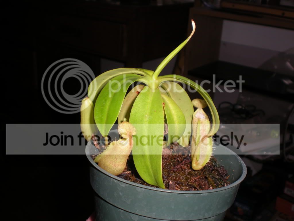 DSCN8166.jpg