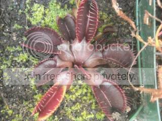 DSCN0229-3.jpg