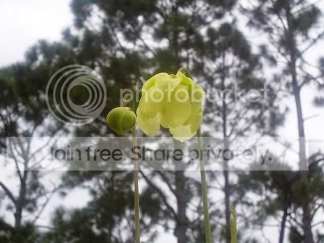 100_1242.jpg