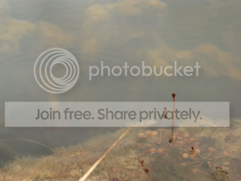 DSCN5625.jpg