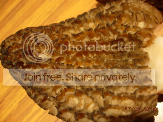 DSCN3809.jpg
