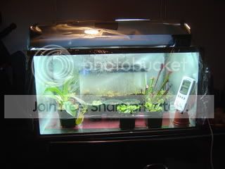 Terrarium001.jpg