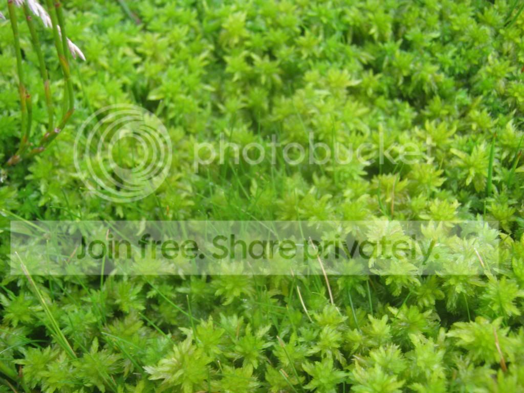 IMG_2627.jpg