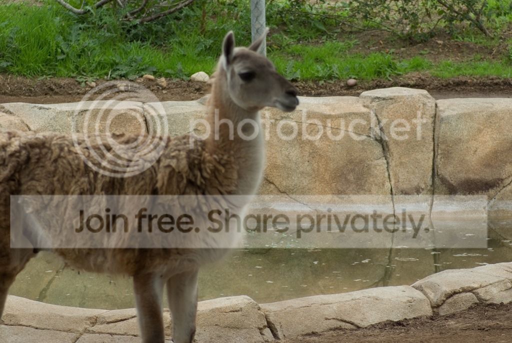 IMGP3580_zpshly4fb1n.jpg