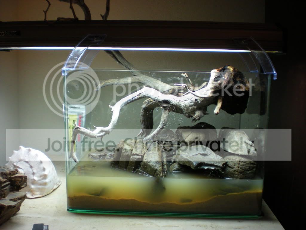 DSCN3851.jpg