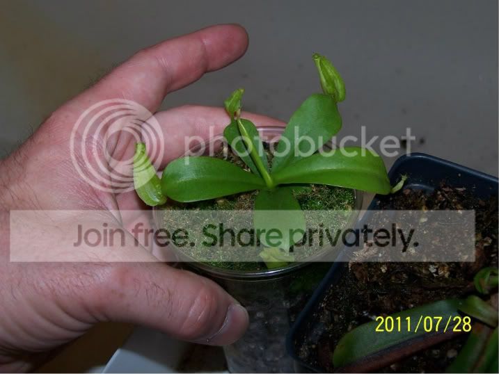100_4930.jpg