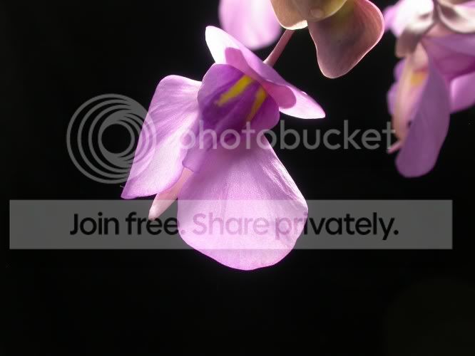 fcf03f4b.jpg