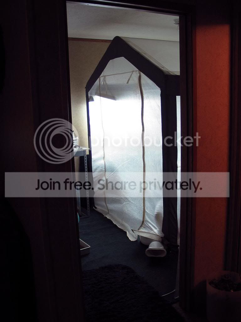 IMG_3778_zps347cd5e8.jpg