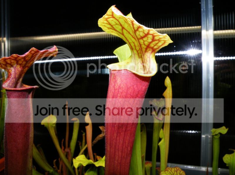 DSCF9566.jpg