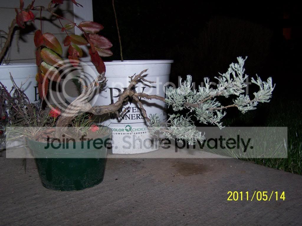 100_4527.jpg