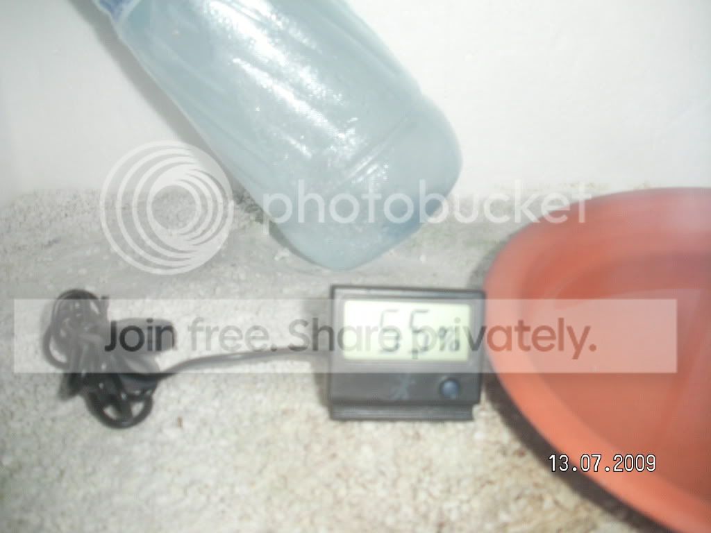 RIMG2383.jpg