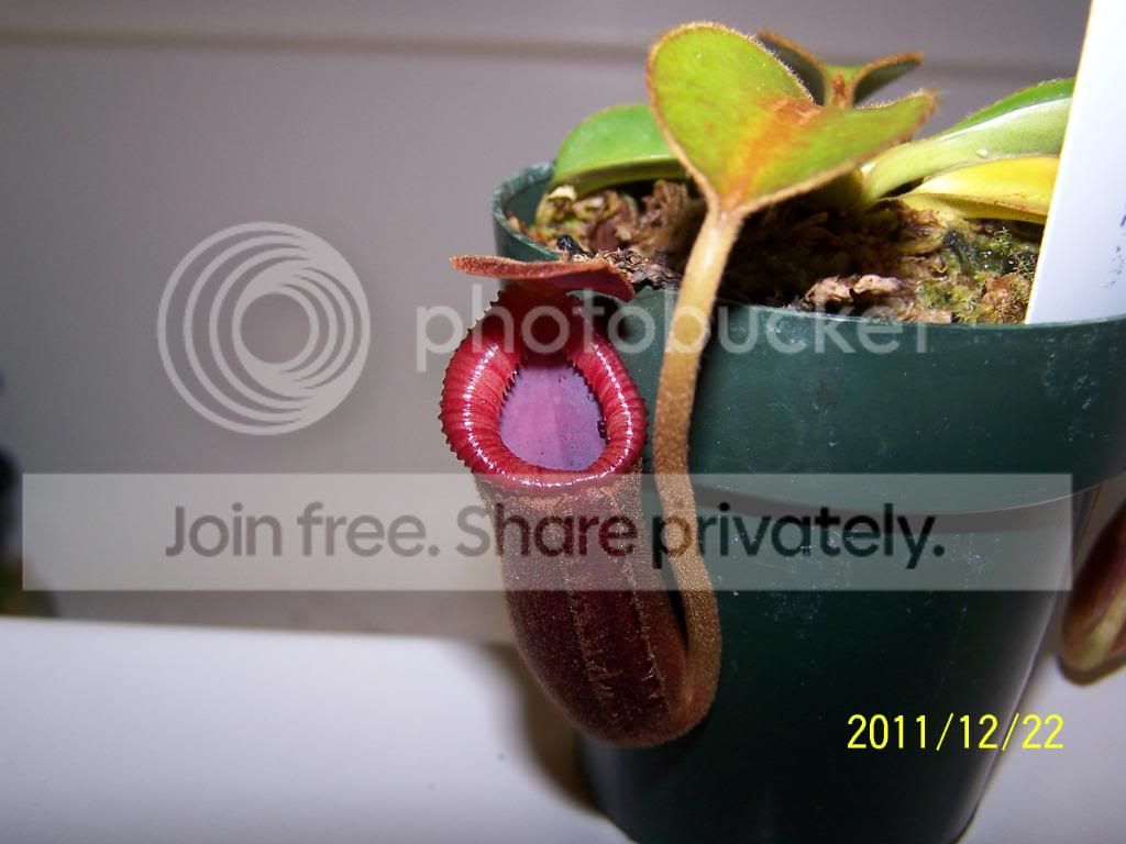100_5668.jpg