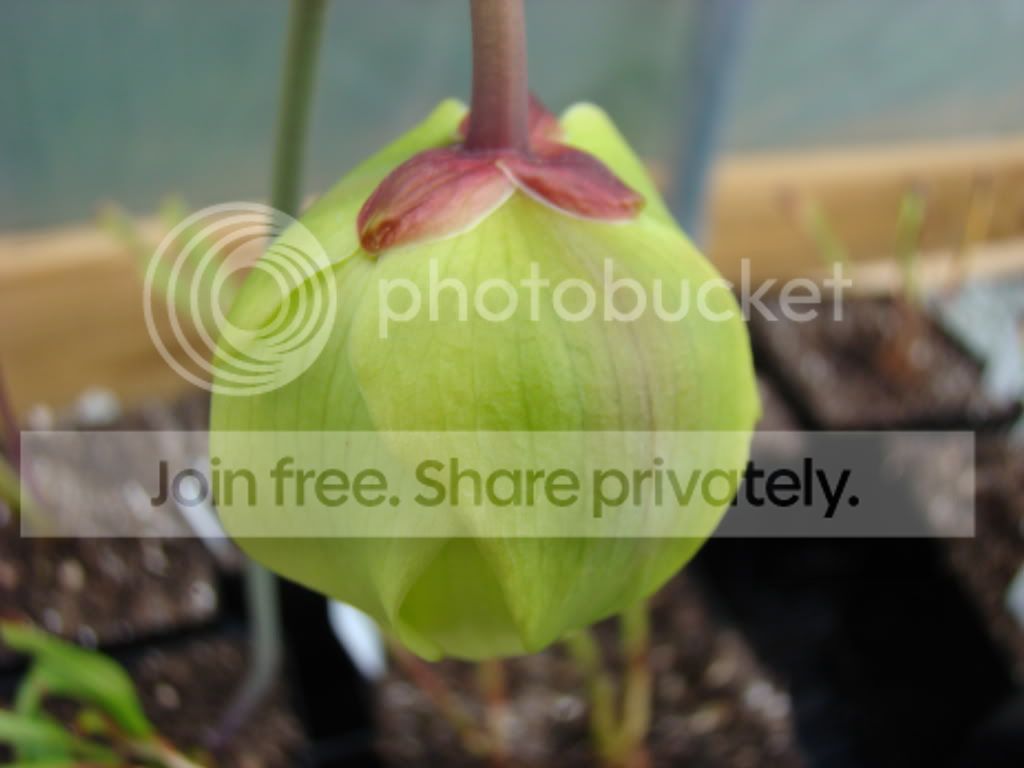 DSC05120.jpg