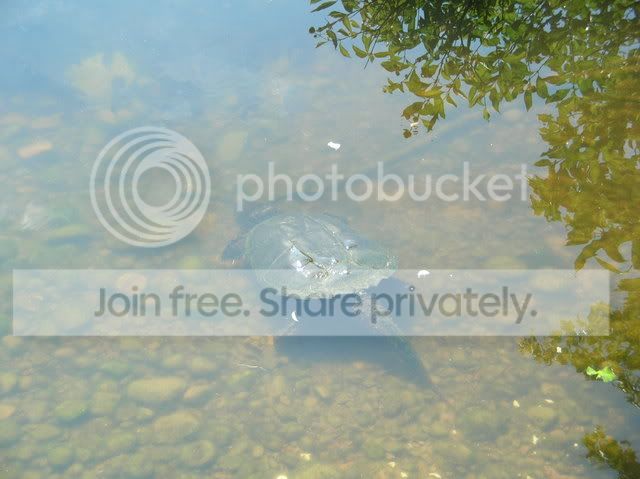 DSCN4714.jpg