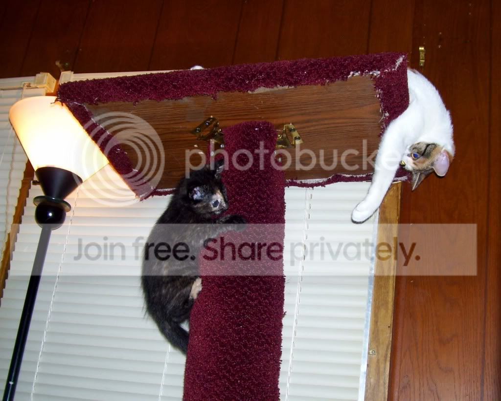 100_4728.jpg