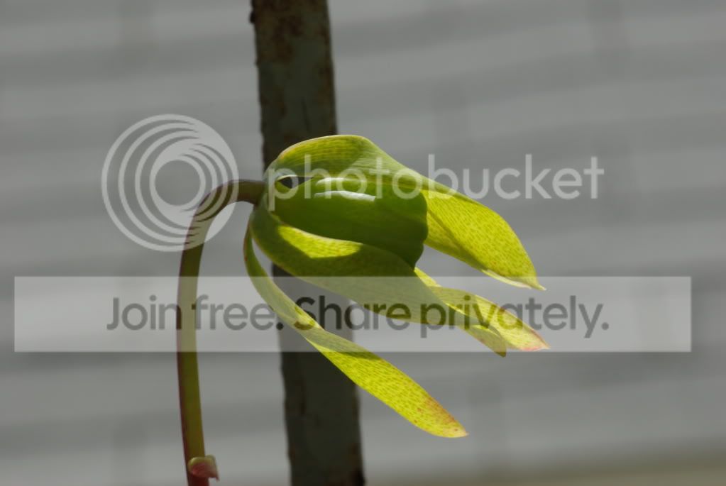 IMGP5513.jpg