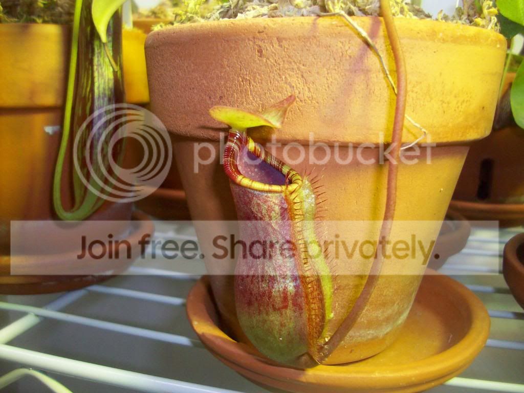 100_2878.jpg