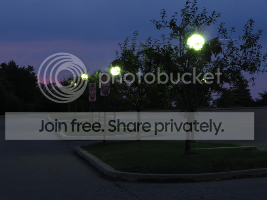 IMG_7684.jpg