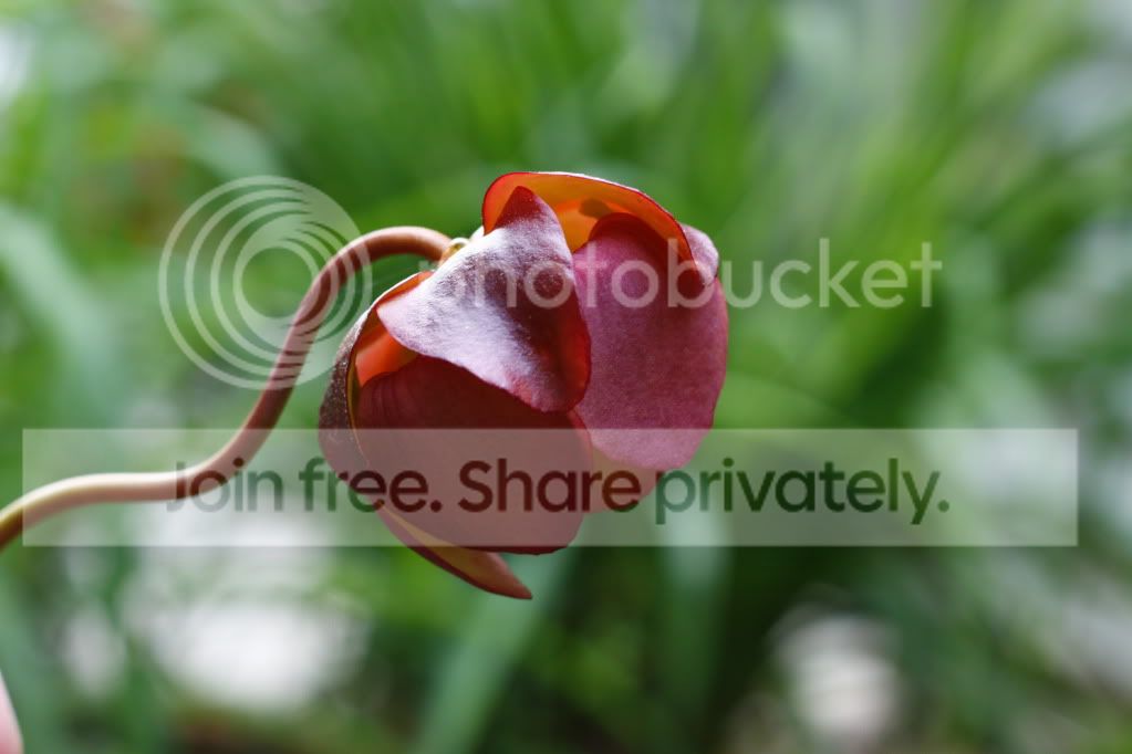 _MG_4604.jpg