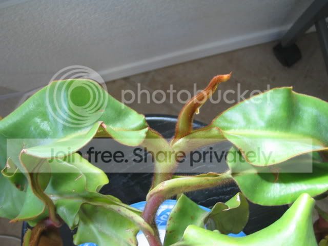IMG_9758.jpg
