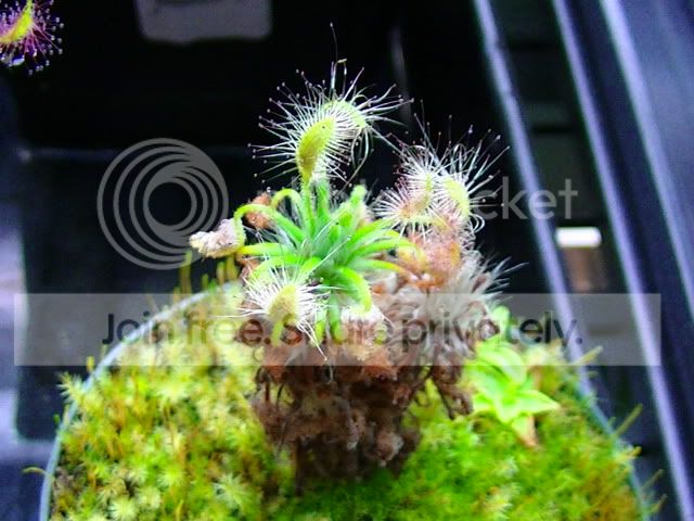 PIC_0004.jpg