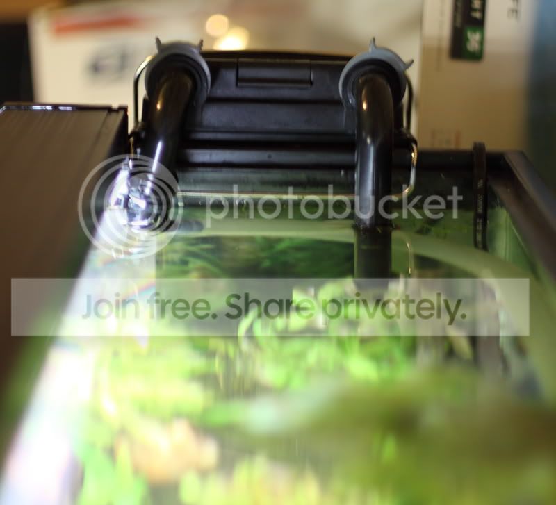 modifiedfilter.jpg